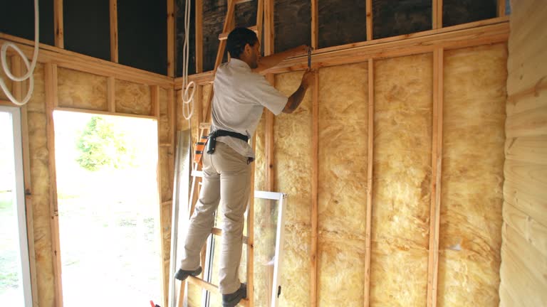 Best Commercial Insulation Services  in Chandler, IN